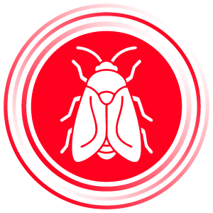 Tenja