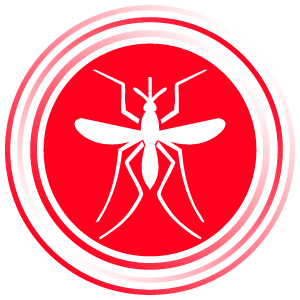 Mushkonja